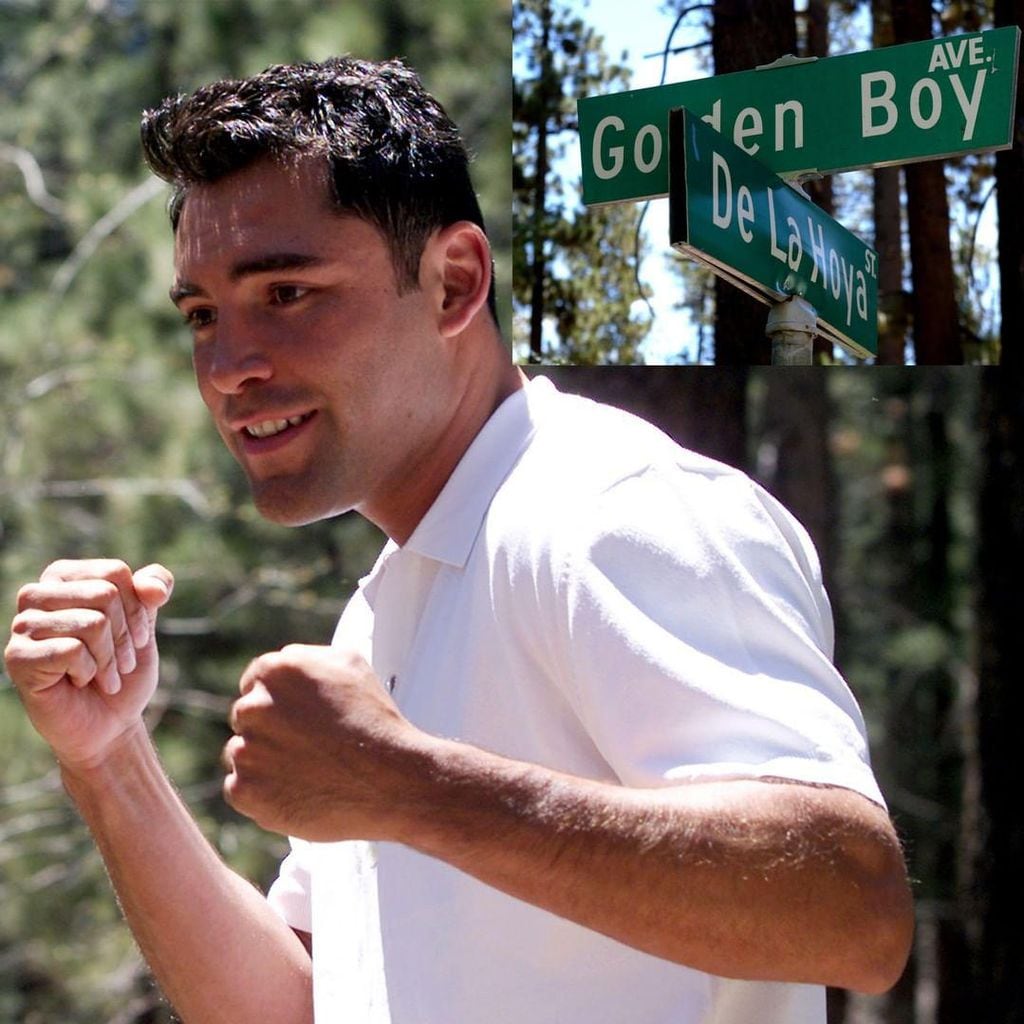 Oscar de la Hoya regresa al boxeo