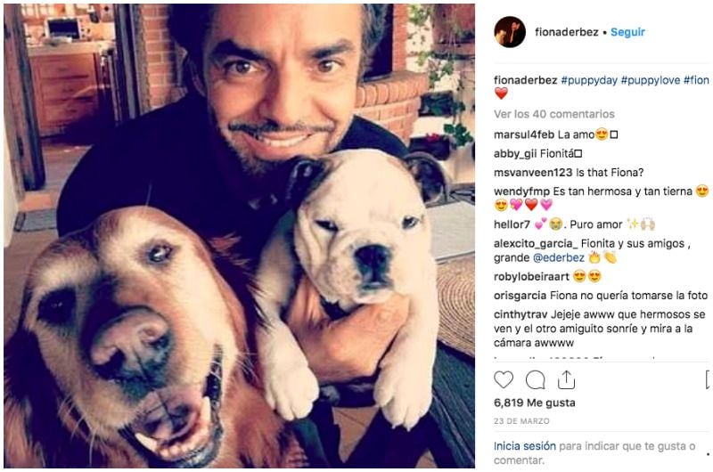 eugenio derbez perro3