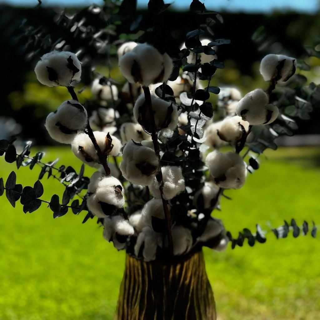 El ramo de flores de algodón que Christian Gálvez ha regalado a Patricia Pardo por su segundo aniversario de boda