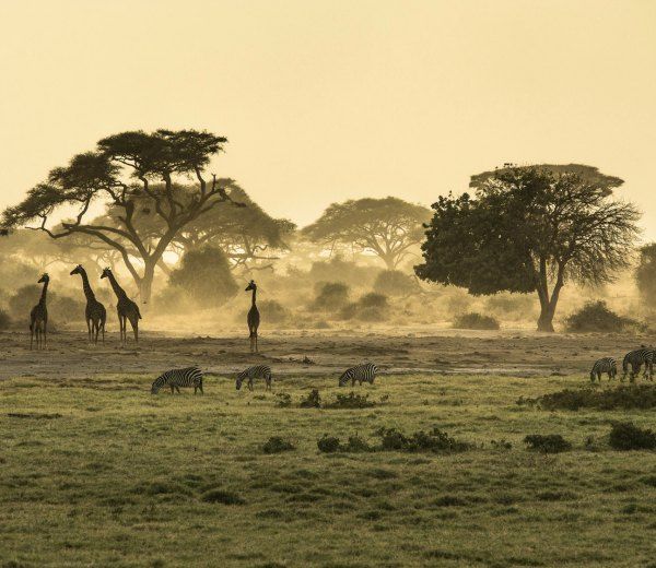 novias africa 02