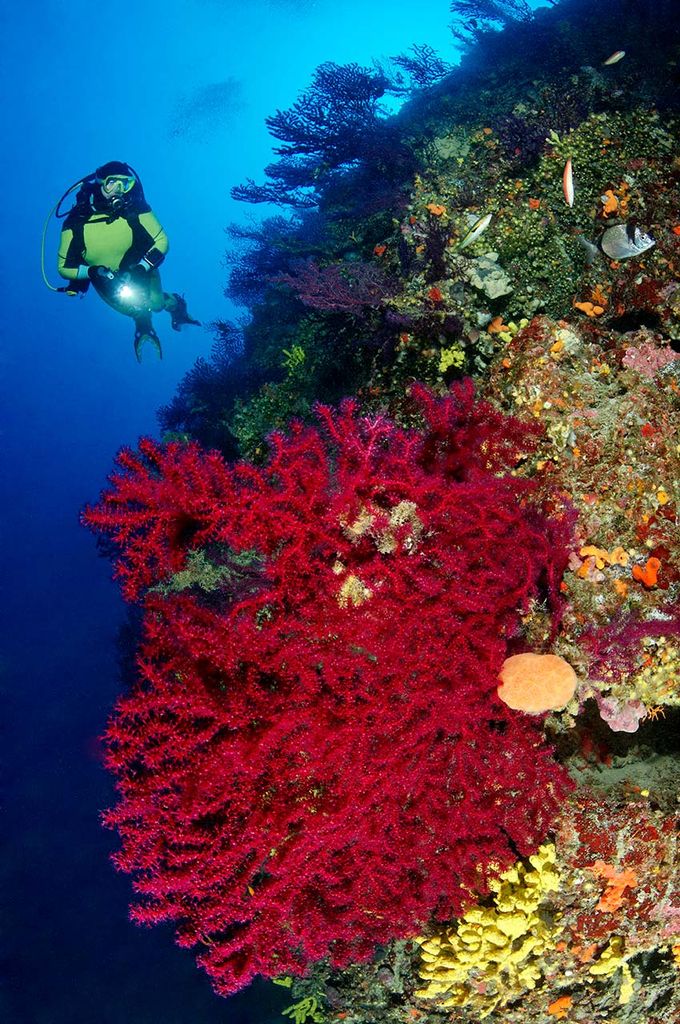 croacia-kornati-buceo