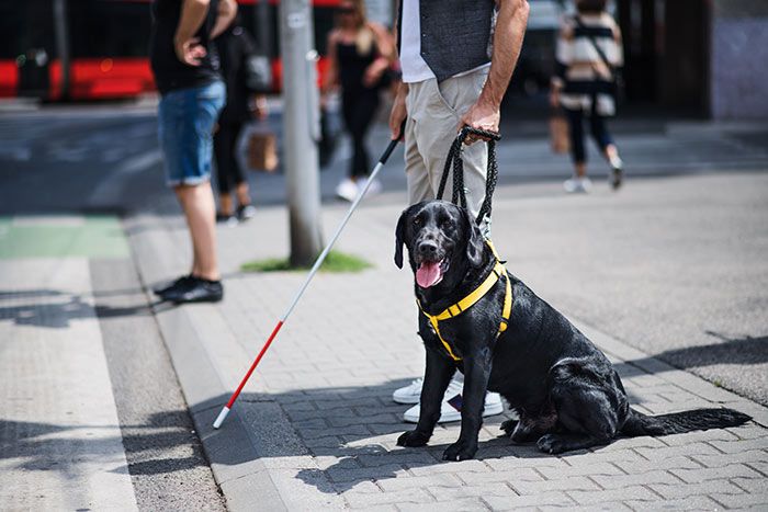 hombre con perro guía