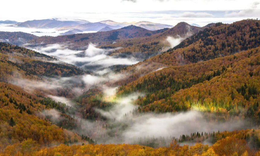 nieblas en el valle en la selva de irati un bosque para el otono en navarra