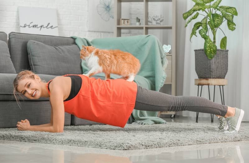 gato yoga