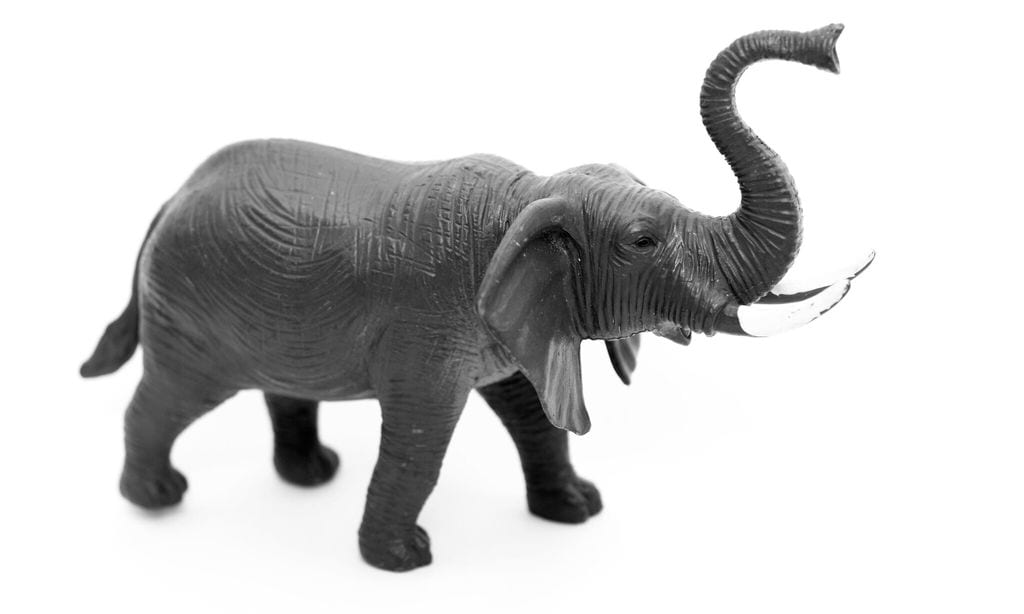 elephant toy on white background