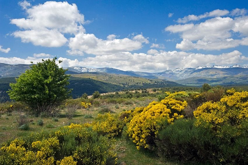 piorno gredos