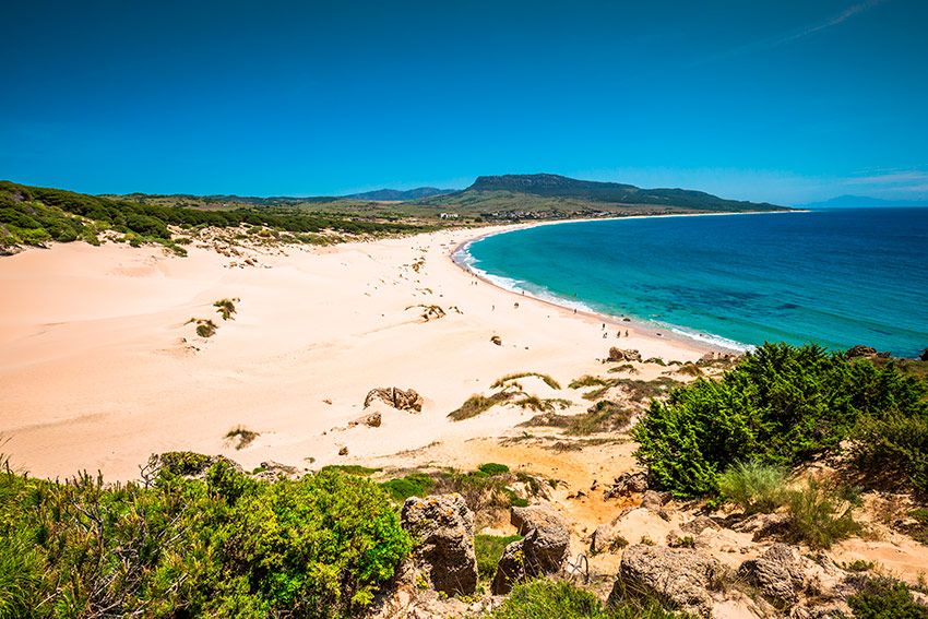 bolonia cadiz