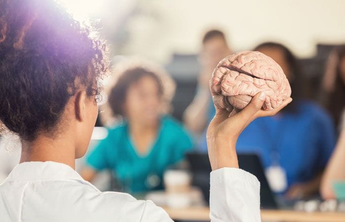 Profesora mostrando un cerebro