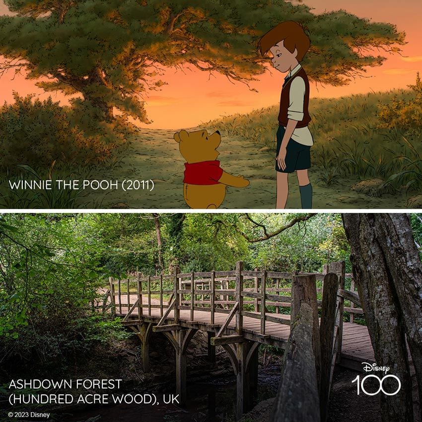 winnie the pooh x ashdown forest