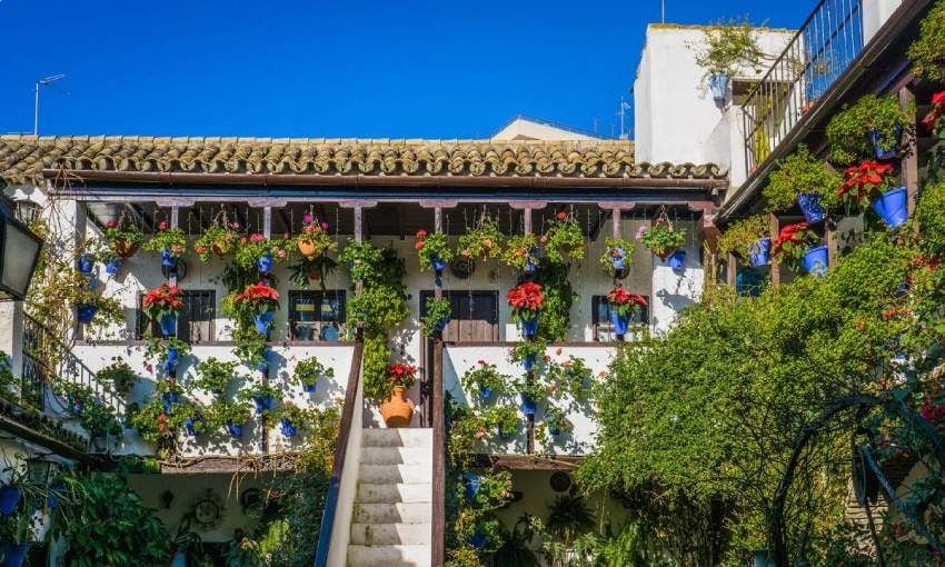 Patio cordobés repleto de flores, plantas y aromas en la calle San Basilio de Córdoba