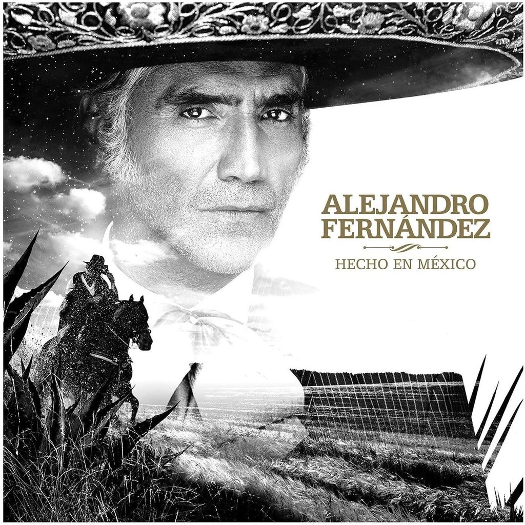 alejandro fern ndez