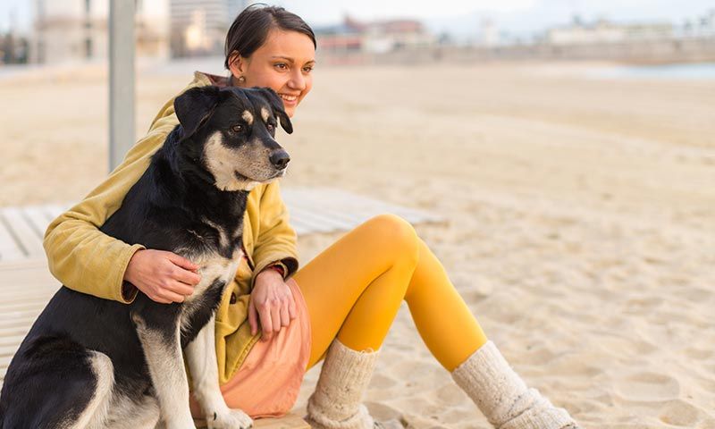 destinos para viajar con tu mascotas barcelona