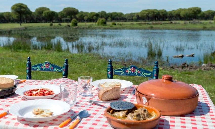 Picnic en el Parque Nacional de Doñana, Huelva