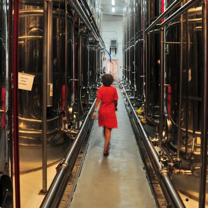 Visita a las instalaciones de Aceite García de la Cruz.