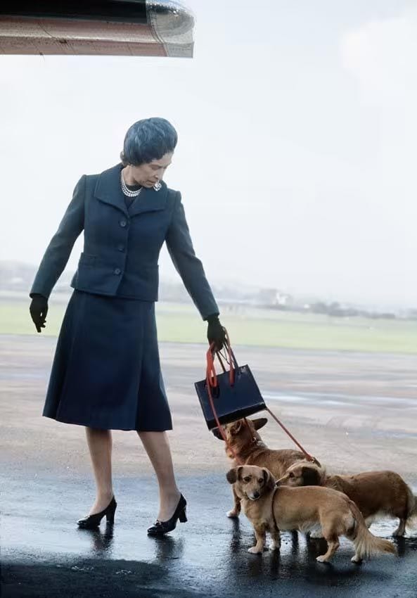 reina Isabel II con sus corgis