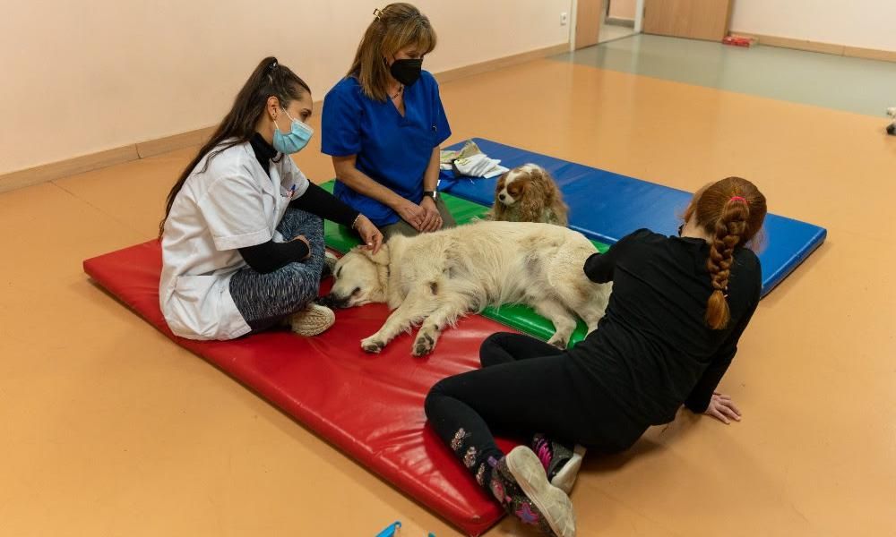 Terapia con perros para niños