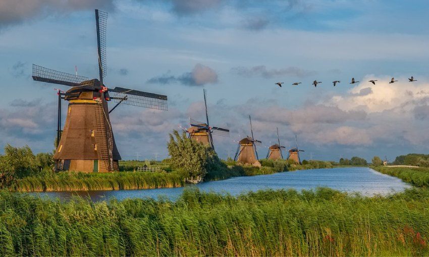 molinos de viento de kinderdijk holanda