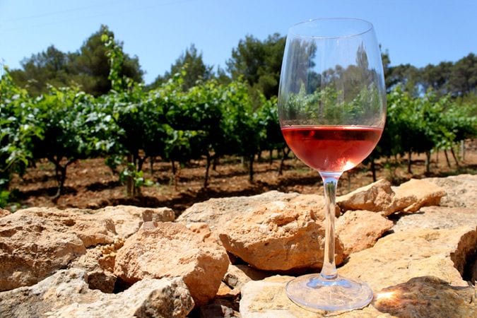 Formentera cuenta con una tradición de viticultura desde tiempos inmemoriales y aproximadamente 80 hectáreas de viñedos.
