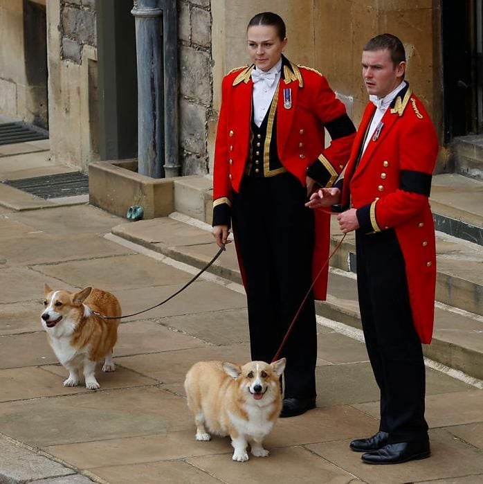 Sandy y Muick, los corgis de la reina Isabel II