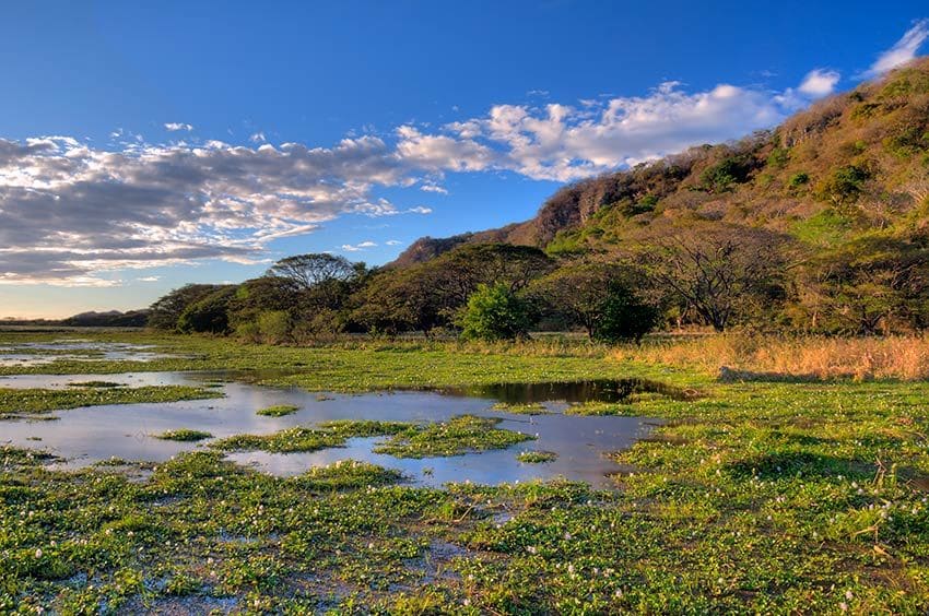 laguna palo verde guanacaste