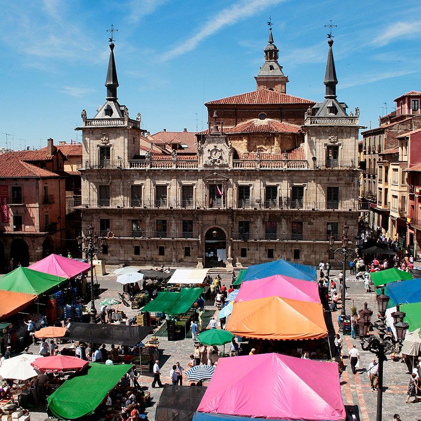 mercado leon