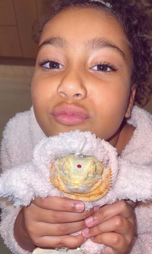 North West con su lagarto amarillo