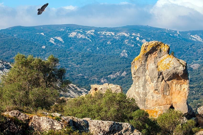 paisaje-en-Jimena-de-la-frontera-alcornocales-2