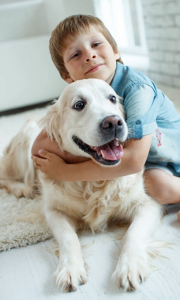 Niños y mascotas