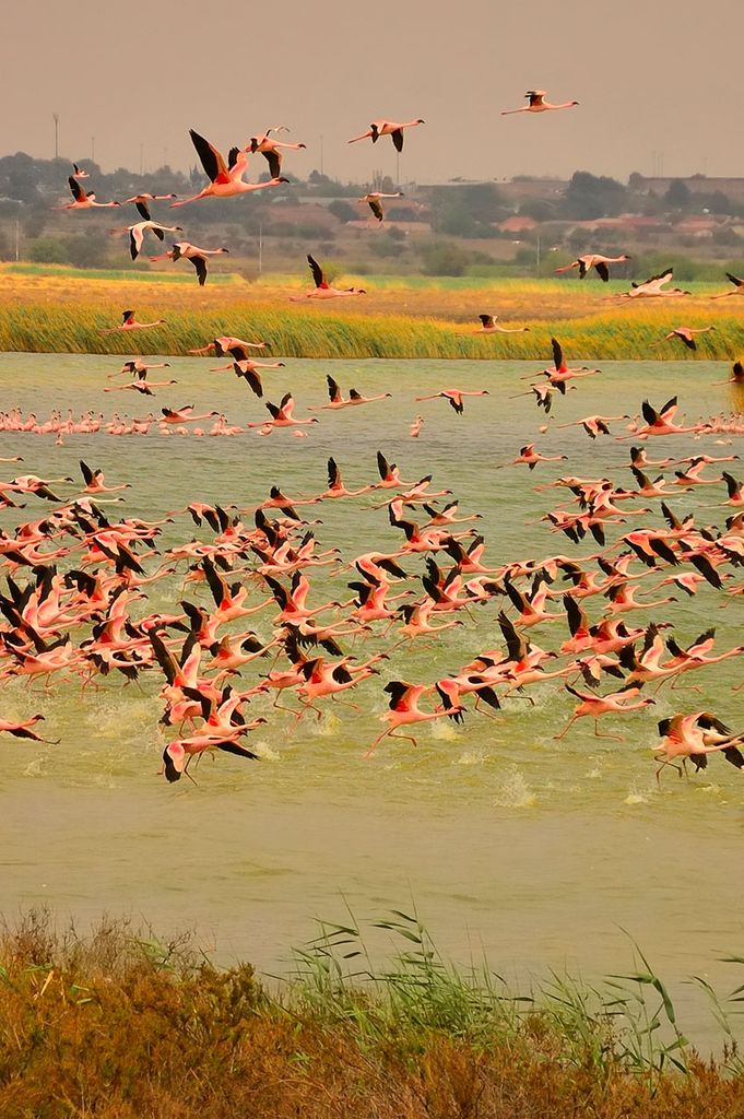 Kamfers Dam, Sudáfrica 