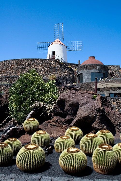 jardin-de-cactus-lanzarote