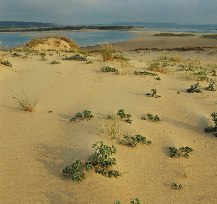 Parque Natural de Corrubedo, A Coruña, Galicia