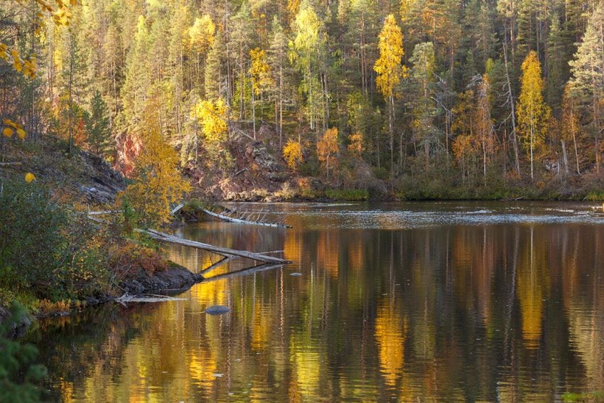 oulanka national park ruska