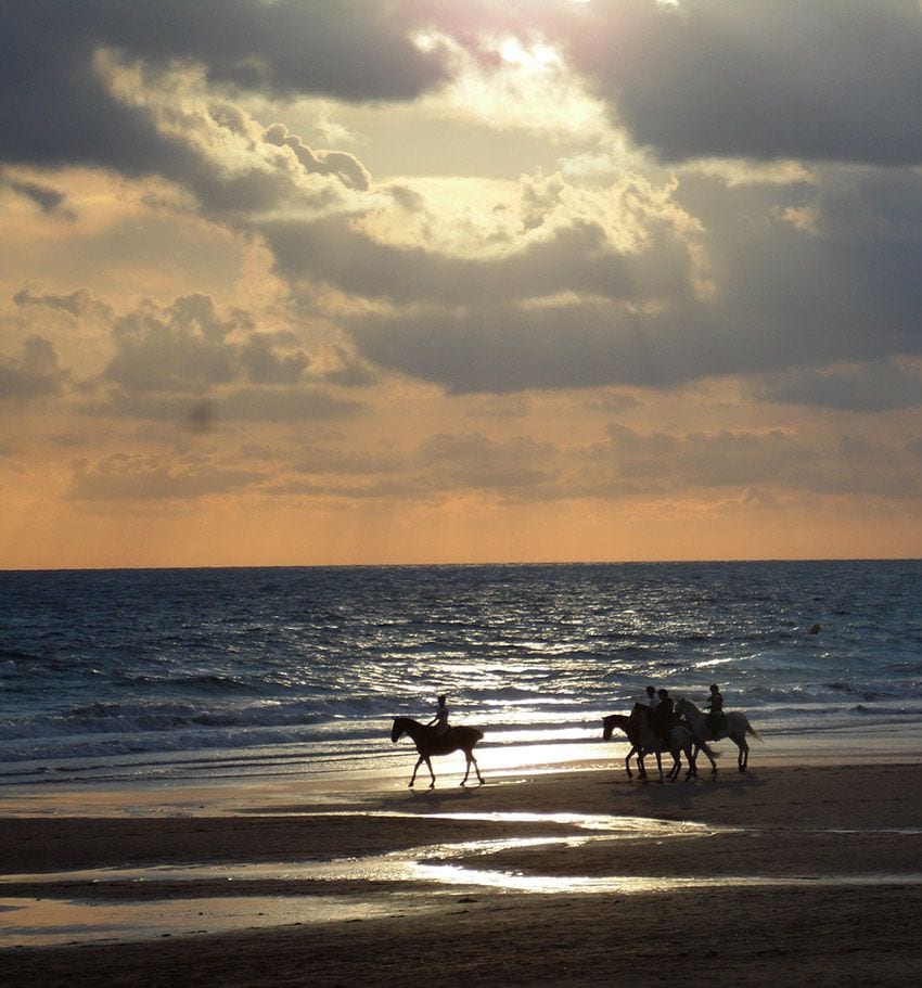 5 playa de la barrosa cadiz