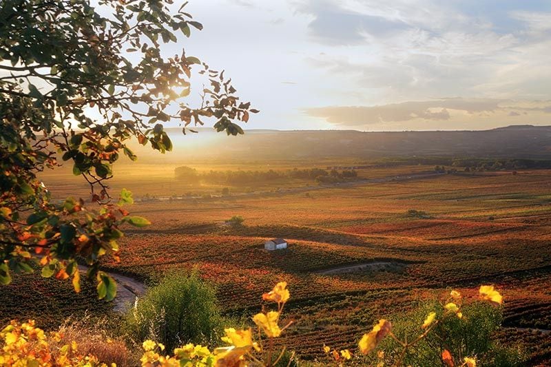 La Rioja campos otono