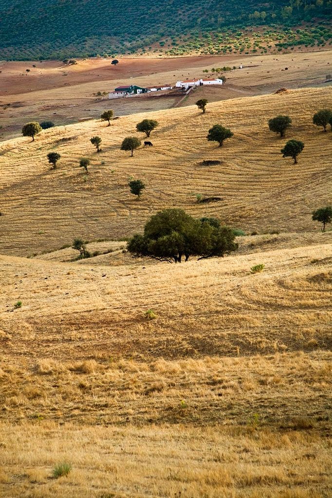 Paisaje en la ruta de Órdenes del Temple y Santiago