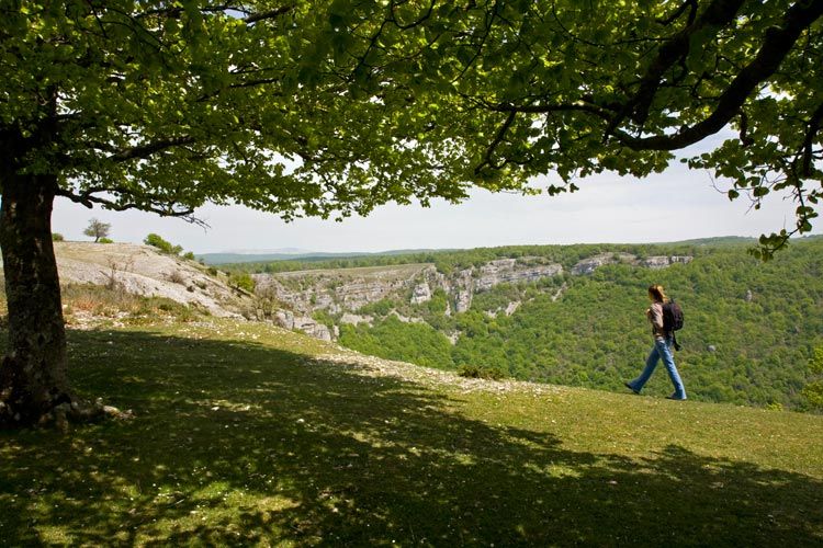 Navarra-verano