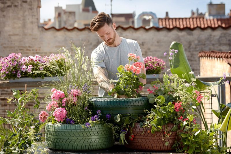 abono excesivo plantas sobrefertilizacion hola decoracion 03