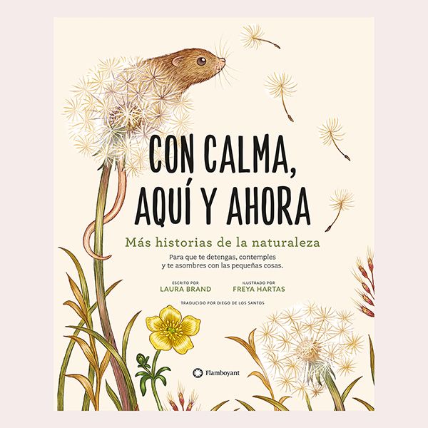 libro con calma aqui ahora