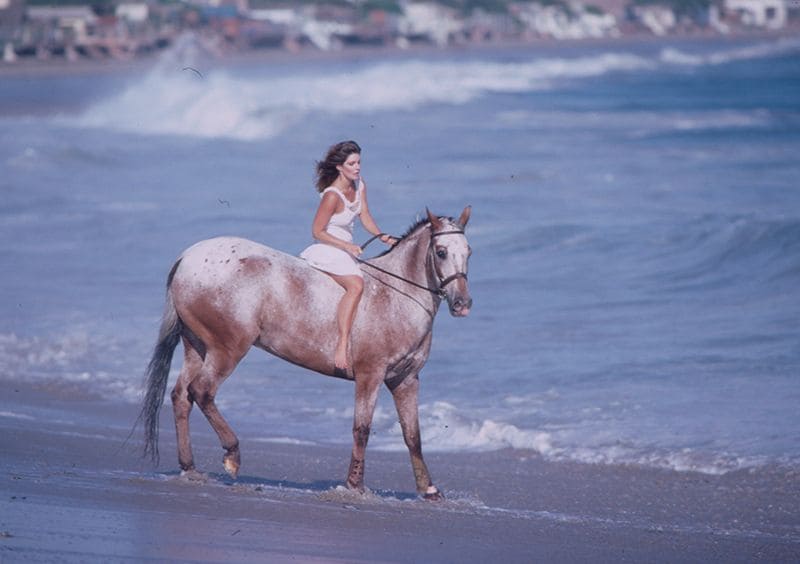 priscilla portada