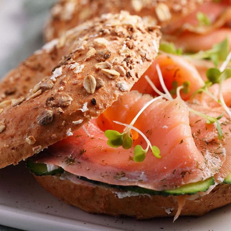 bagel salmon adob