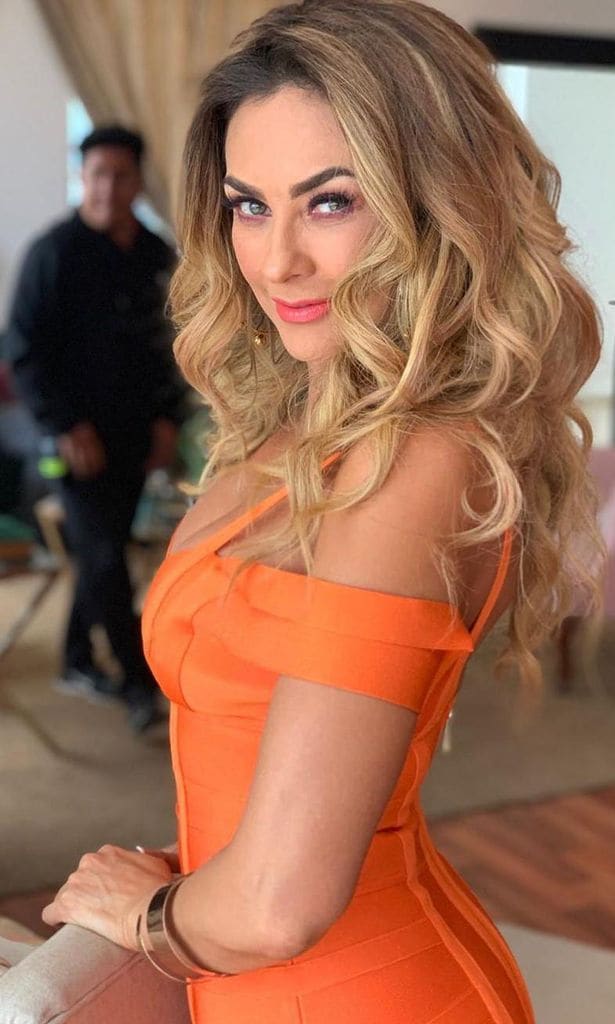 Aracely Arámbula