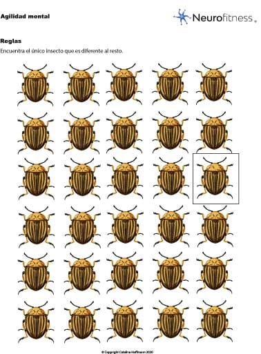 insecto-diferente