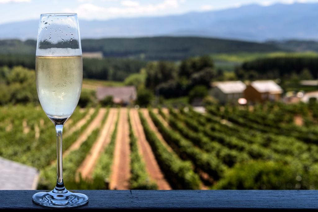 Copa de cava con viñedo al fondo