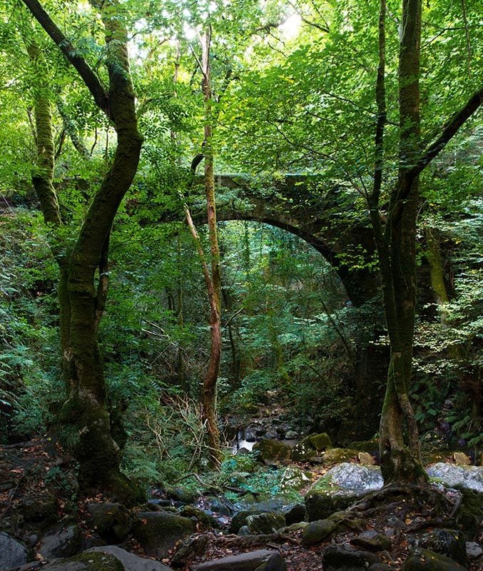 Fragas do Eume a coruna galicia otono