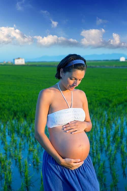 mujer embarazada entre lavanda