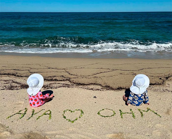 Los mellizos de Hilary Swank en la playa