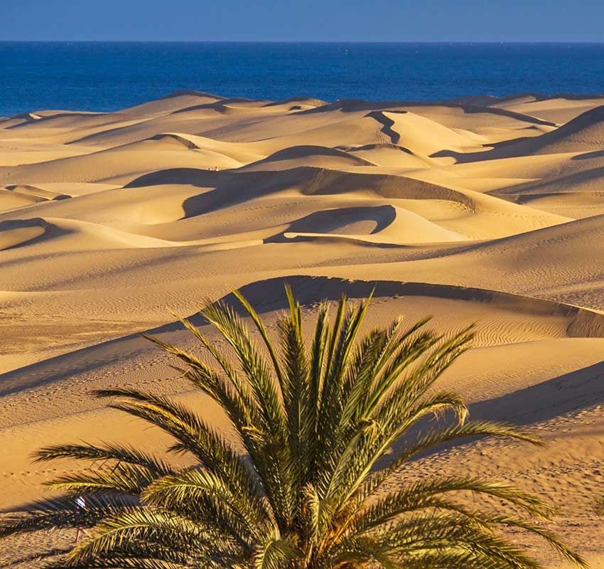 Dunas de Maspalomas en Gran Canaria