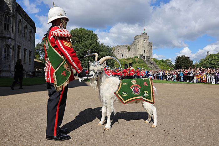 carlos iii y camilla en gales