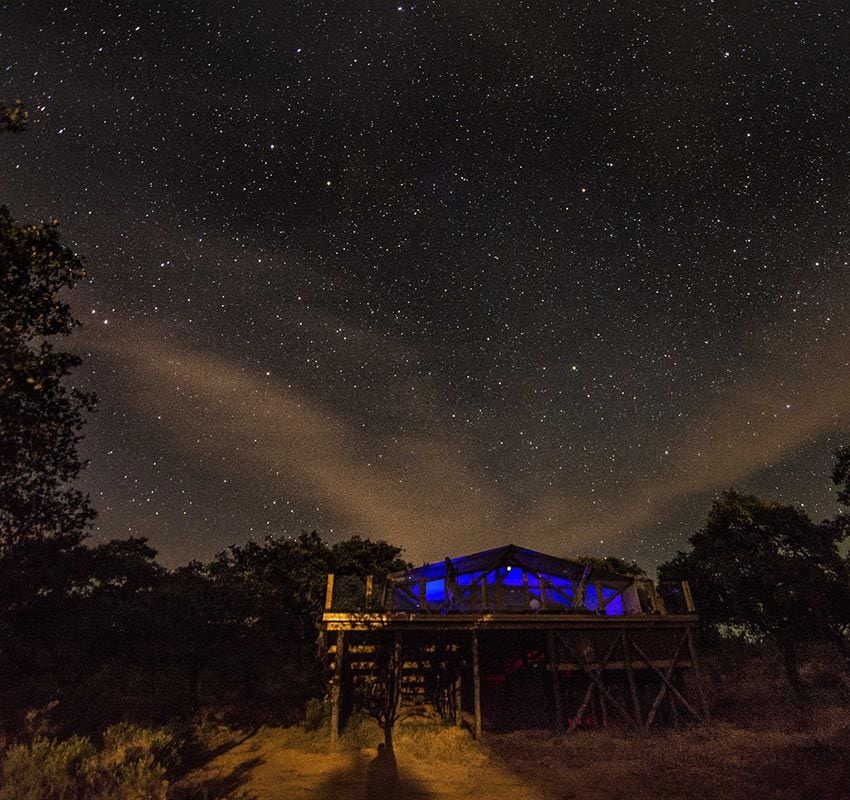 Cielo estrellados sobre La Dehesa Experiences, Adamuz, Córdoba