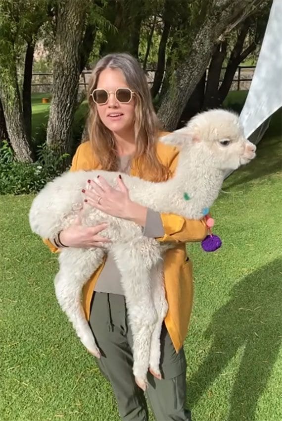 Isabelle Junot con un bebé de alpaca